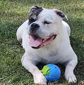 Meet your Posher, Eli